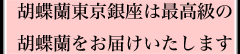 �Ԃ̑傫��