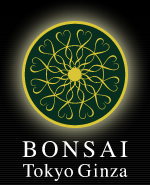 �ڂ񂳂��������