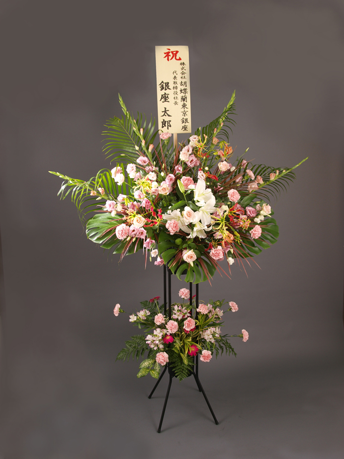 �X�^���h��2�i21000�~�R�[�X