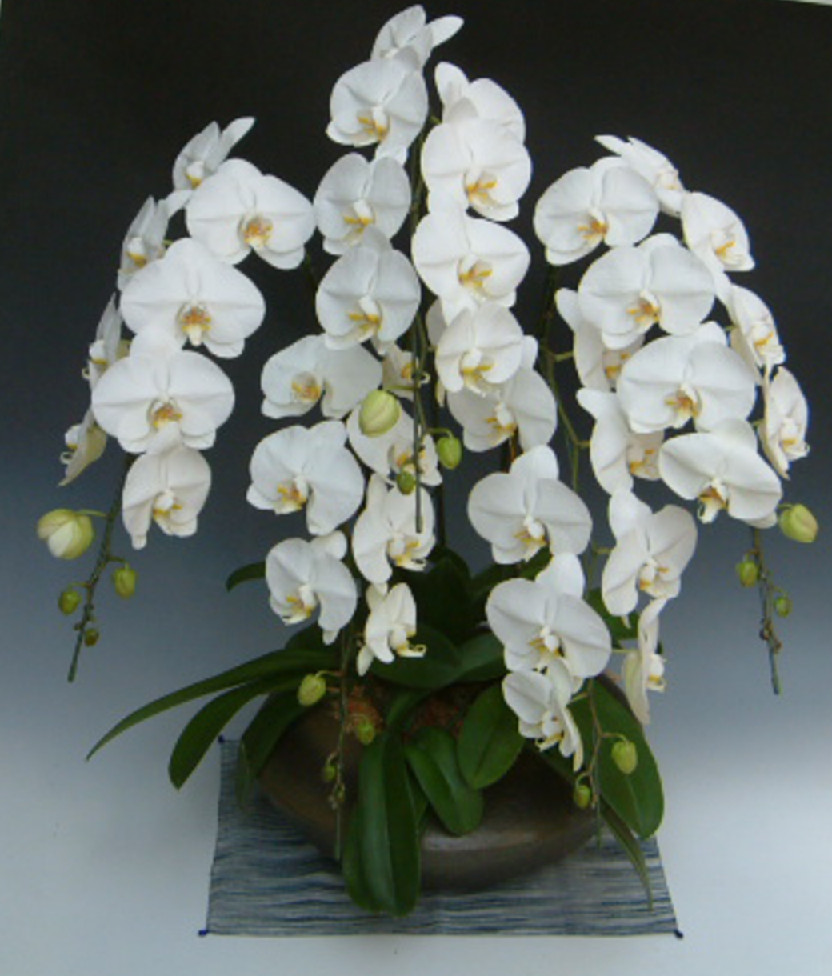 �a���Ӓ���4��5��~