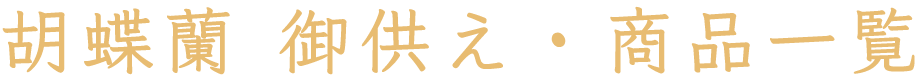 胡蝶蘭〜御供え〜・商品一覧